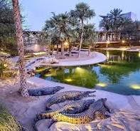 Dubai Crocodile Park