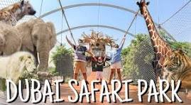 Dubai Safari Park Day Pass