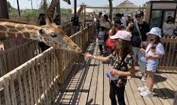 Dubai Safari Park Journey Pass
