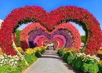 Miracle Garden