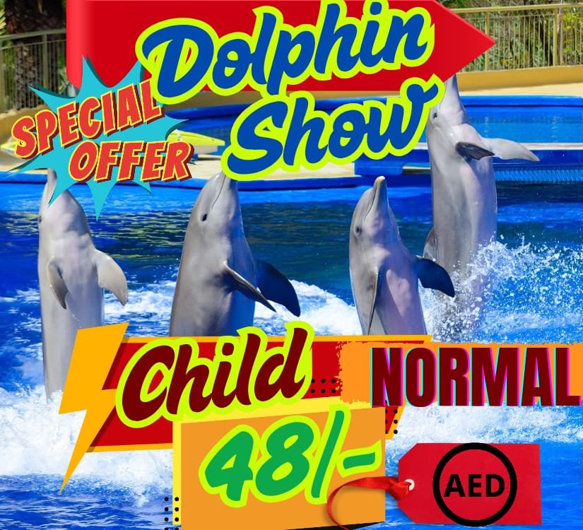 Dolphin Show - Normal