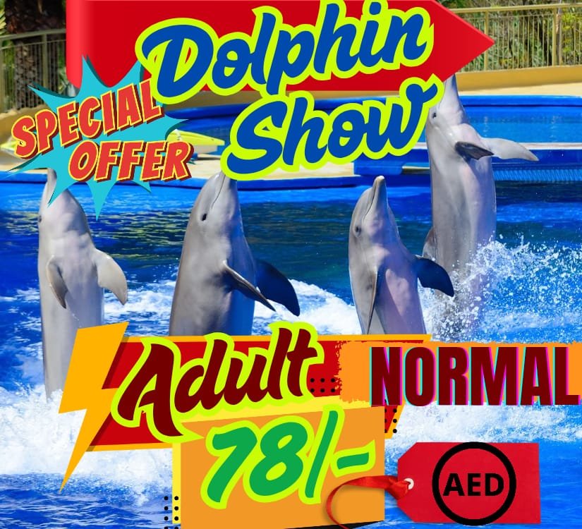 Dolphin Show - Normal