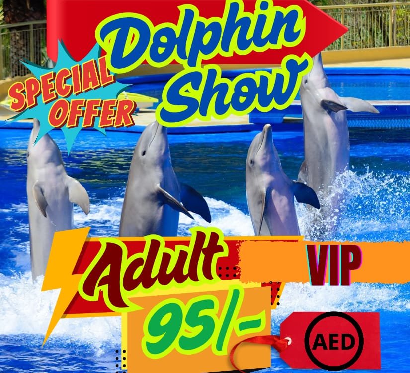 Dolphin Show - VIP