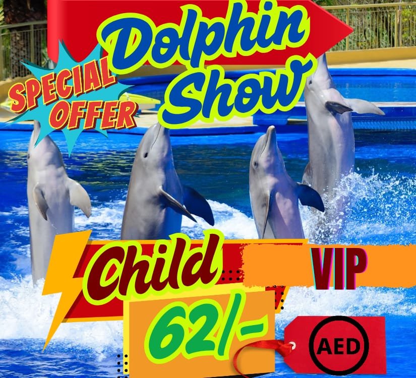 Dolphin Show - VIP
