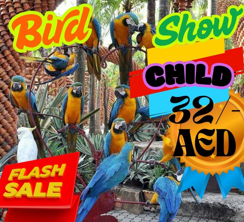 Bird Show