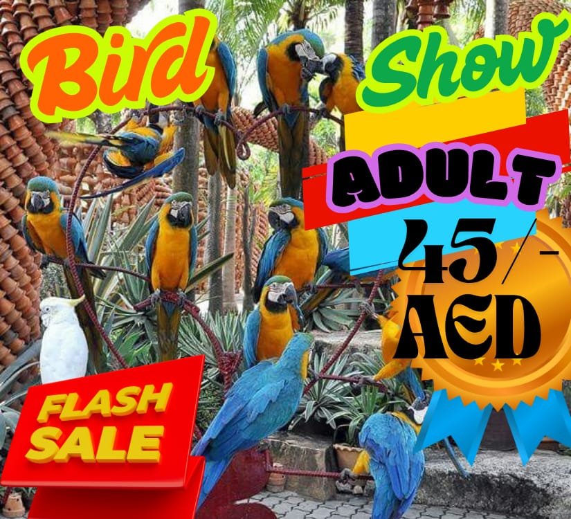 Bird Show